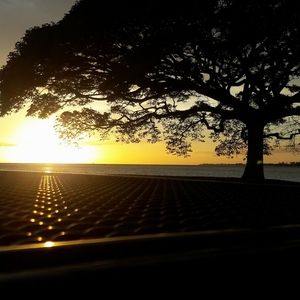 Meet your Posher, Liza